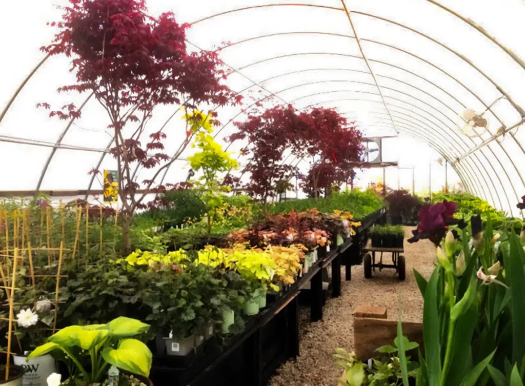 trees and shrubs available for sale at local garden center in bloomington-normal illinois