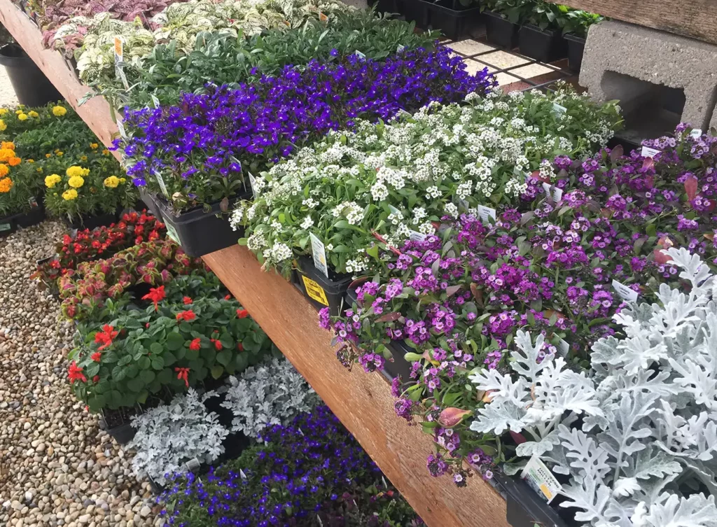wholesale garden center bloomington illinois